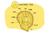孕8周胎儿发育 商品缩略图0