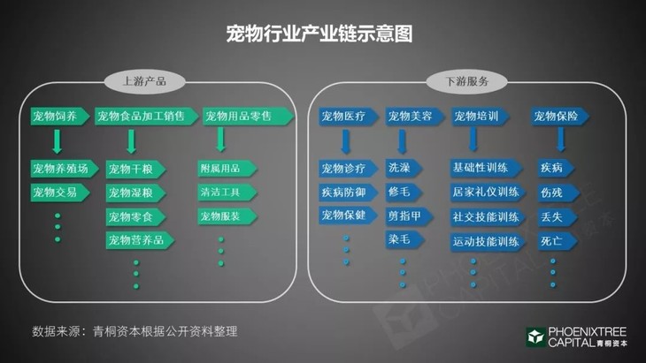 å® ç©ç»æµï¼ä¸é¨åäº¿çº§çå­¤ç¬çæ