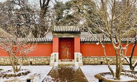 谁是继承人 —— 05. 解放后：贾府里的成分划分运动