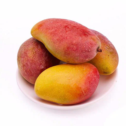 海南贵妃芒（净重5斤   ） 商品图0