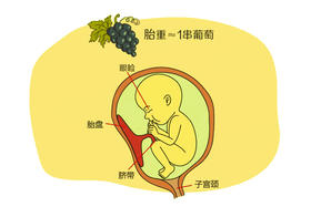 孕21周胎儿发育