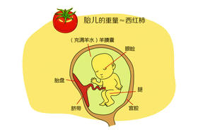 孕15周胎儿发育