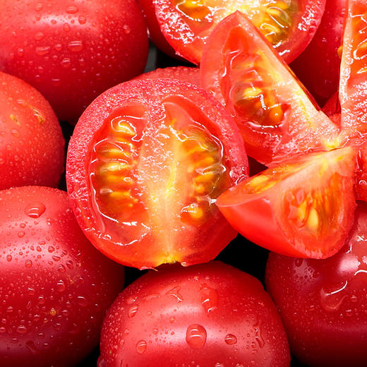 【千禧圣女果】清甜可口 四川现摘现发 5斤(中大果) 包邮|亲邻优选