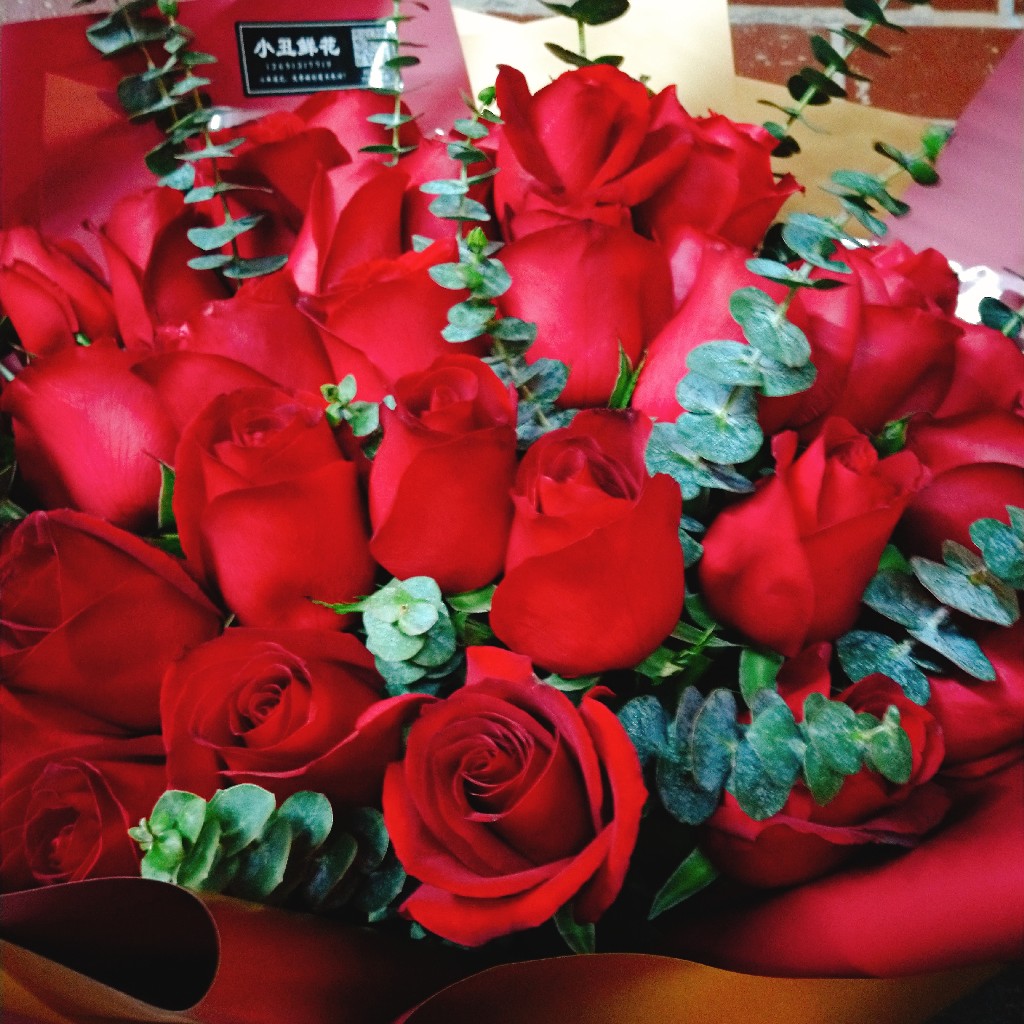 【爱的承诺】33支红玫瑰 红色包装高档奢华时尚 送心中的女神首选