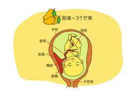 孕22周胎儿发育