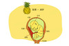 孕25周胎儿发育 商品缩略图0