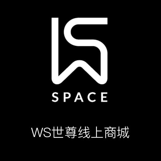 WS SPACE260117260304