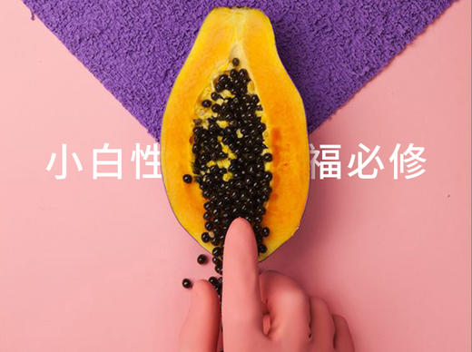 小白幸福必修 | 全集 商品图0