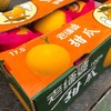【缅甸甜瓜】2头/份，17.5°甜，香甜可口，汁水饱满 商品缩略图3