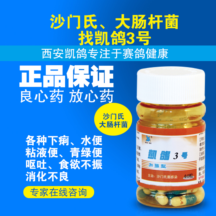 【凯鸽3号】胶囊60粒,信鸽肠炎沙门氏菌,体质差,下痢