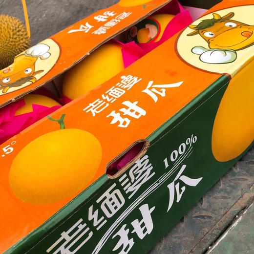 【缅甸甜瓜】2头/份，17.5°甜，香甜可口，汁水饱满 商品图4