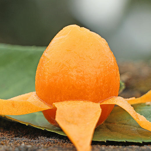 福建云霄枇杷 清甜水润 3斤(约28个)|亲邻优选