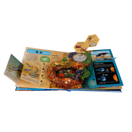 神秘海洋立体书适读年龄2原价128元