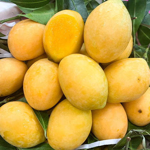 泰国枇杷芒 商品图5