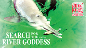 Saving China | 美丽中国