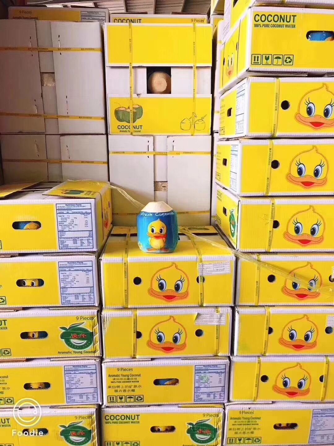 【小黄鸭泰国原味椰青】,一箱九个,椰青好处多多[鼓掌][鼓掌]准妈妈们