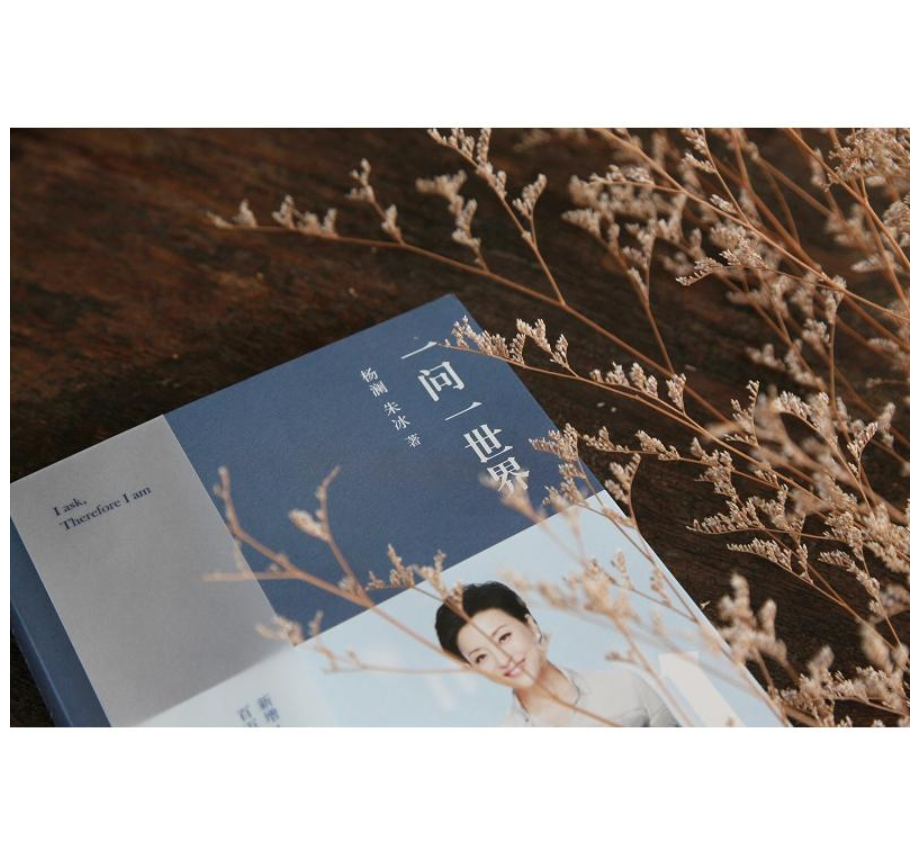 一问一世界(百万册畅销完整版，新增40000字从未发表过的内容，问遍世界，看到自己，汇聚着杨澜和上千位名人思想精华的诚意之作)