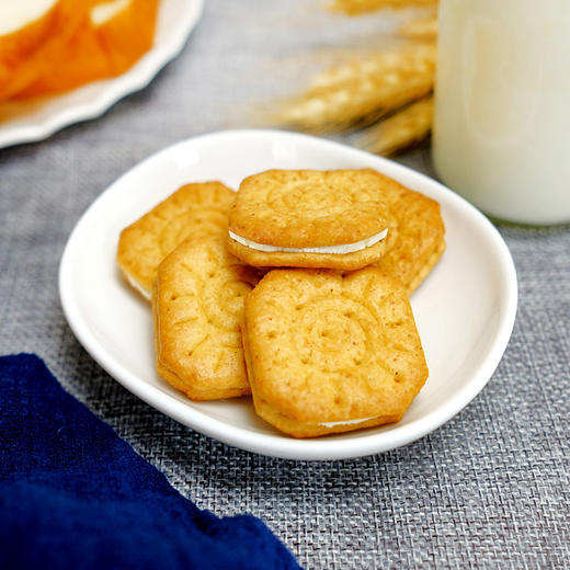 【集合派】飞翔原人|酸奶出击酸奶夹心饼干