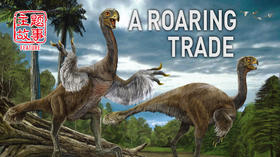 Feature Story | 主题故事