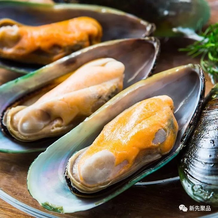 澳大利亚超鲜霸王青口贝!现捞直飞你餐桌的海之精华