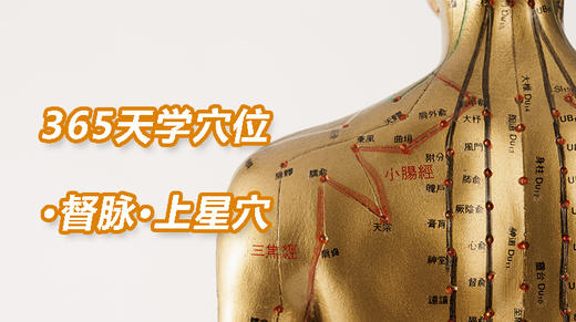 1督脉11.上星穴 商品图0