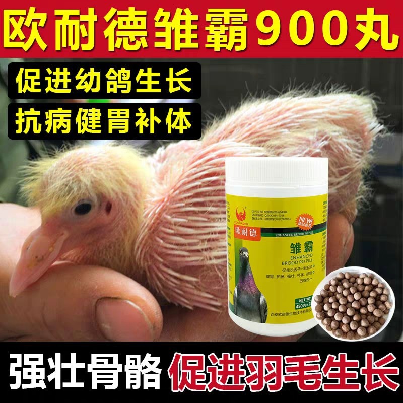 【雏霸】大桶900丸,幼鸽宝/育雏营养丸/幼鸽夺霸(欧耐德)