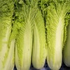 生态大白菜（竹筒青） | 绿家自产*Ecological Chinese cabbage | Self-production 商品缩略图0