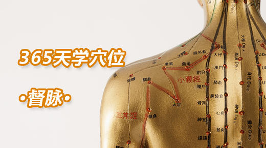 1、督脉 商品图0