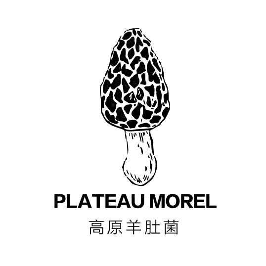 臻心鲜高原有机羊肚菌210314