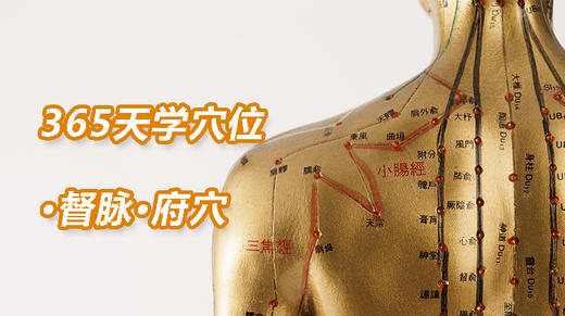 1督脉9.风府穴 商品图0