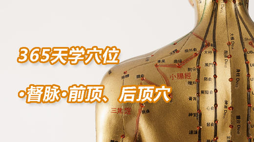 1督脉10.前顶、后顶穴 商品图0