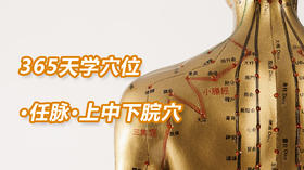 2任脉18.上中下脘穴