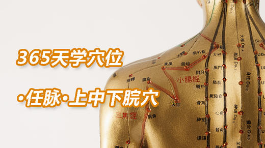 2任脉18.上中下脘穴 商品图0