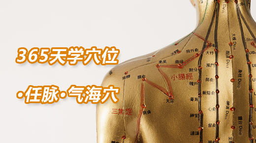 2任脉17.气海穴 商品图0