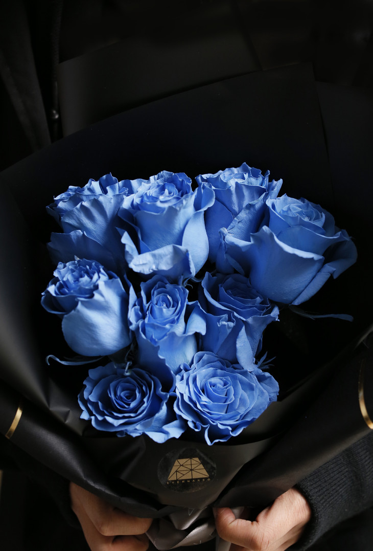 厄瓜多尔北极蓝玫瑰图片