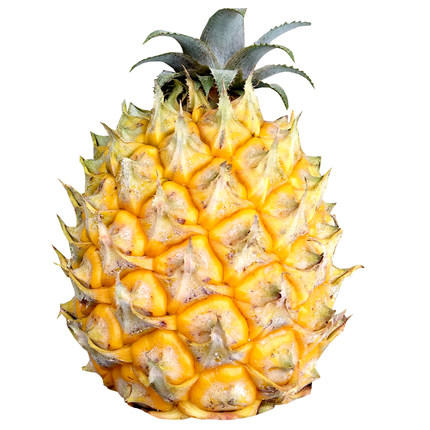 现削河口菠萝1个 脆爽多汁 自然成熟 酸甜可口 商品图2