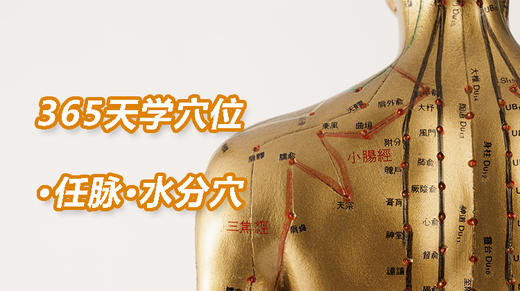 2任脉4.水分穴 商品图0