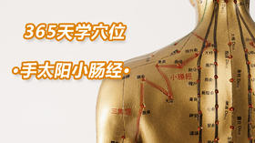 8、手太阳小肠经