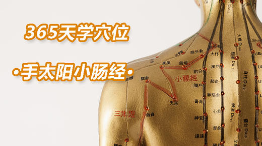 8、手太阳小肠经 商品图0