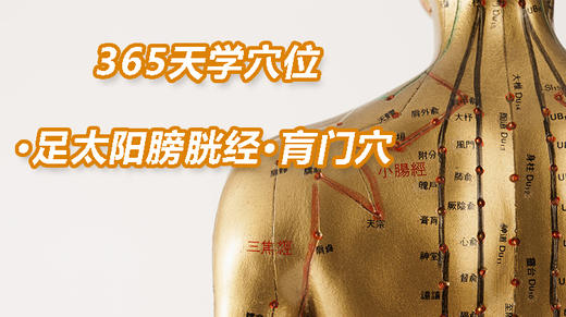9.足太阳膀胱经37.肓门穴 商品图0