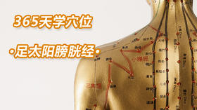 9、足太阳膀胱经