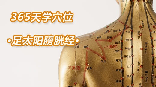 9、足太阳膀胱经 商品图0