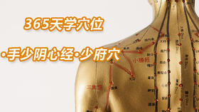 7.手少阴心经5.少府穴