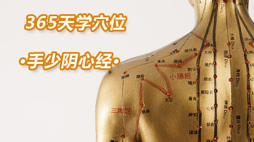 7、手少阴心经 商品图0