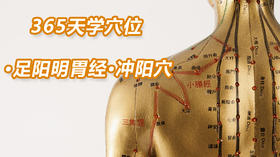 5.足阳明胃经26.冲阳穴