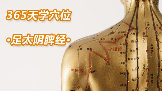 6、足太阴脾经 商品图0