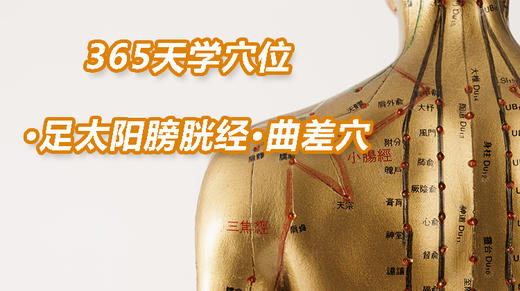 9.足太阳膀胱经2.曲差穴 商品图0
