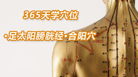 9.足太阳膀胱经43.合阳穴