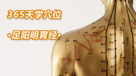 5、足阳明胃经