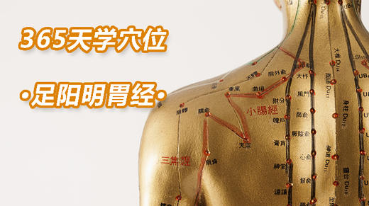 5、足阳明胃经 商品图0